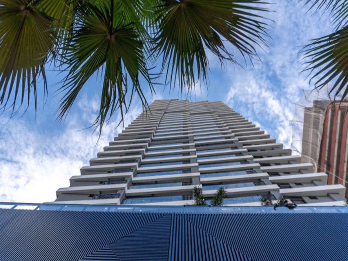gyro vaca brava
