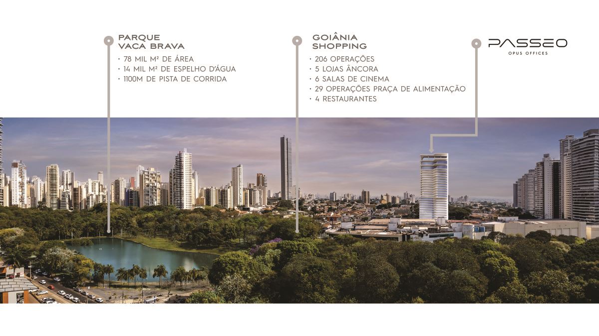 Imagem 7