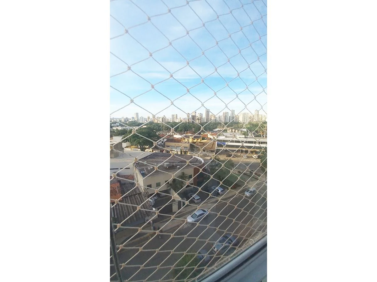 Imagem 3
